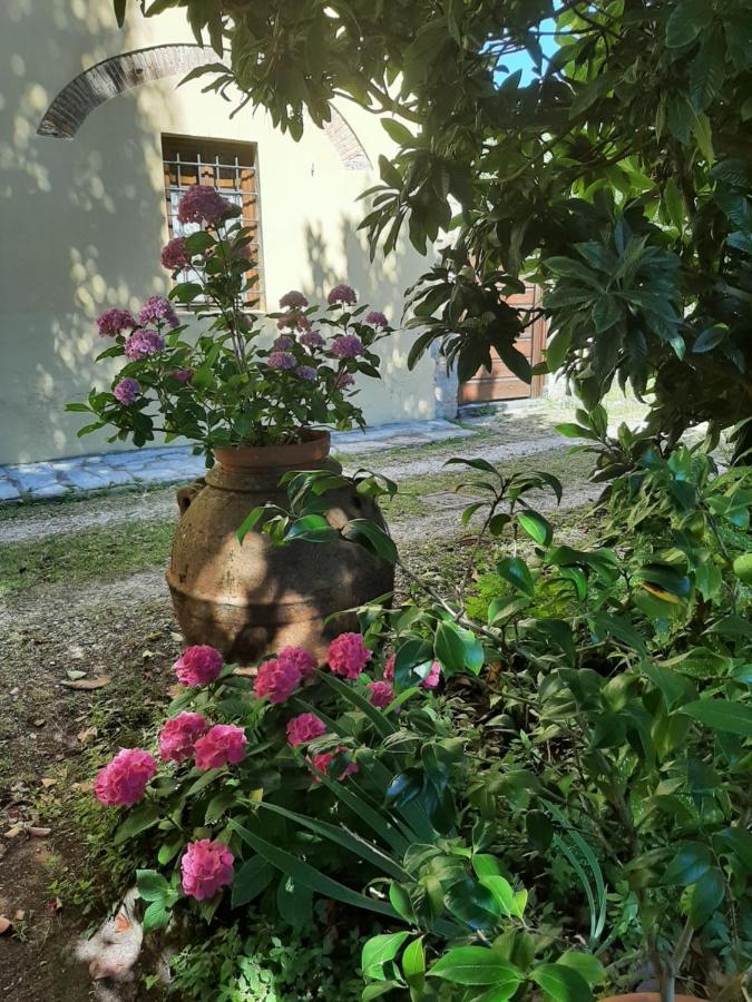 Antica Fattoria La Verdina Camaiore Exterior photo
